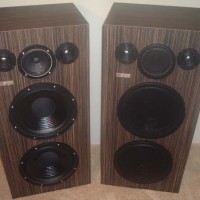 2007 MARTIN SPEAKERS USA Gamma Magnificats