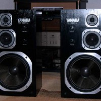 NS-500Ma
