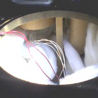 BOX MARANTZ HD660