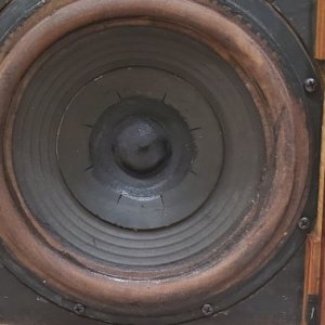 woofer.jpg