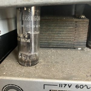 IMG_7176.jpeg