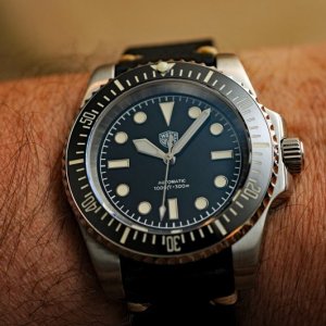 DSC_8179a1.jpg