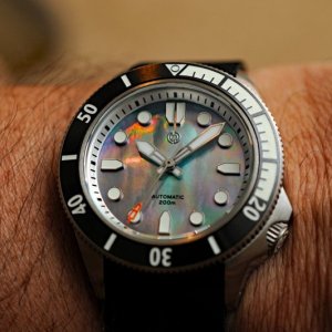 DSC_8192a1.jpg