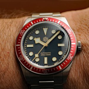 DSC_8235a1.jpg