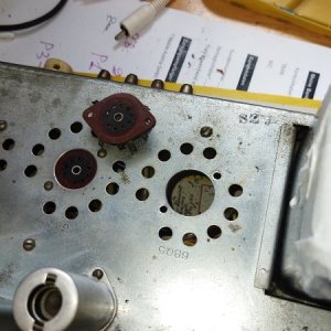 Fried_sockets.jpg