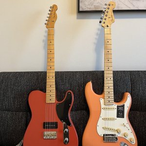 Dakota Red and Pacific Peach.jpg