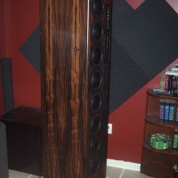 LS6