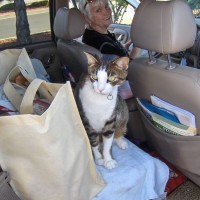 Bruno Looking out in Car, lol!