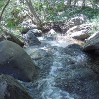 Stream running alongside West Edge of Property