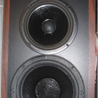Polk Monitor 5A Peerless