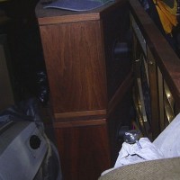 Bose 901's (have stands & control box too)