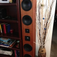 Tower speaker Build