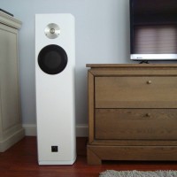 Self made floor standing speaker cabinets
