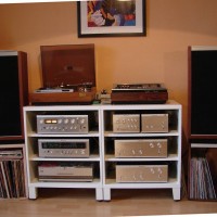 Sony ES1