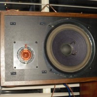 DSCI0992