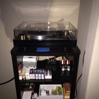 PF800 / Budgie