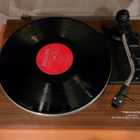 Realistic Lab-270