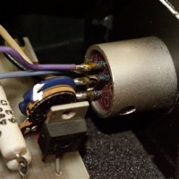 ESS Transar 5-pin XLR backside