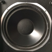 ESS AMT Monitor 12" Woofer