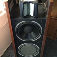 ESS AMT Monitor