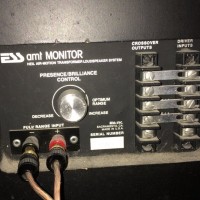 ESS AMT Monitor Input