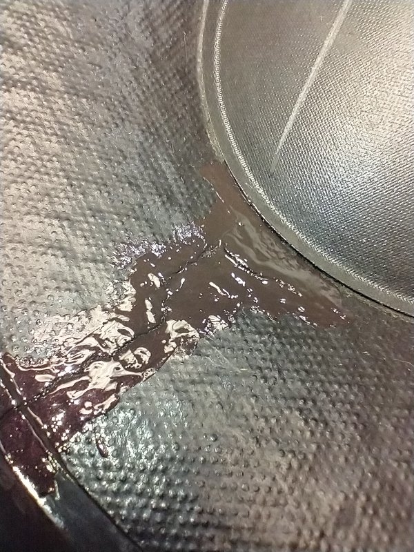 12" Eminence repair