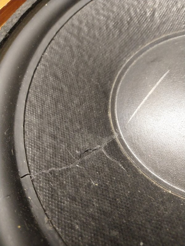 12" Eminence tear