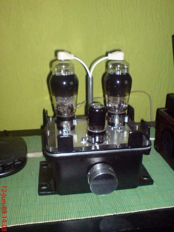 307A SE Amplifier