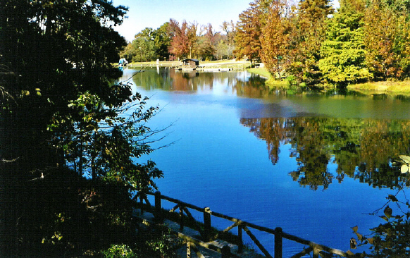 A Serene Fall Day