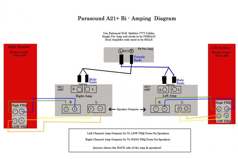 A21+ Bi - Amp Diagram