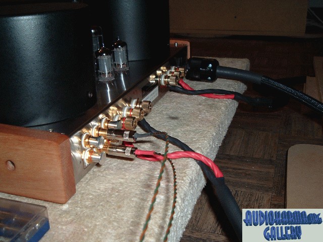 Amp Rear
