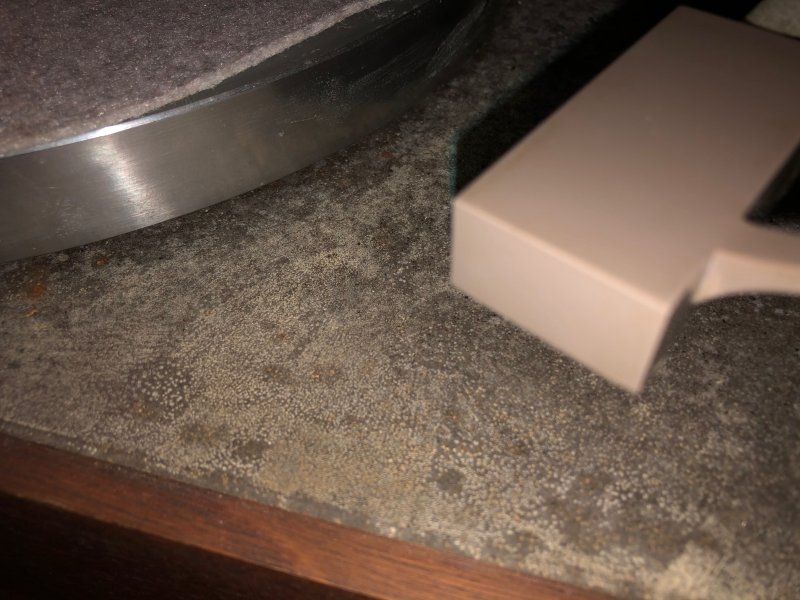 AR XA closeup