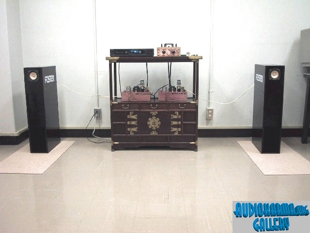 Bottlehead System with Fostex FE-103M