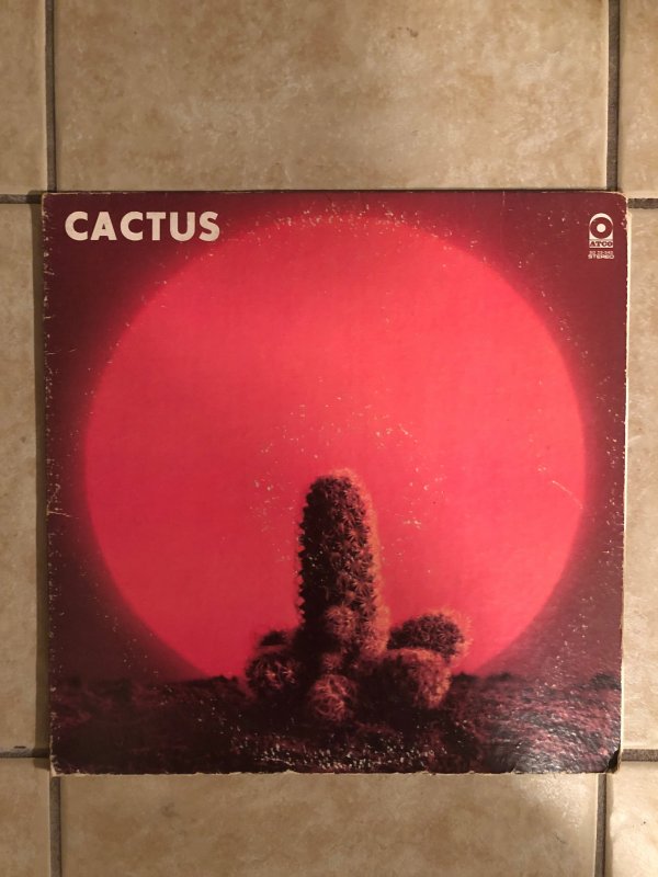 CACTUS PIC 1 (2)