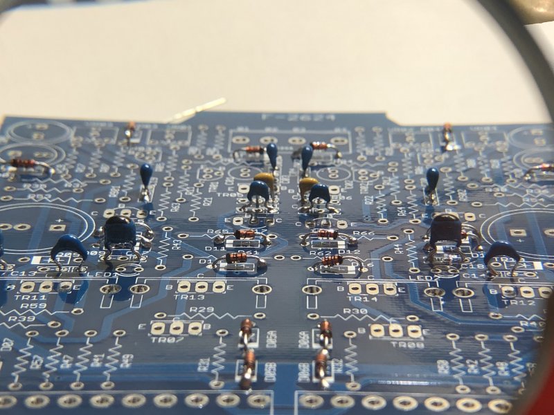 Ceramic Capacitors + Diodes (zoomed)