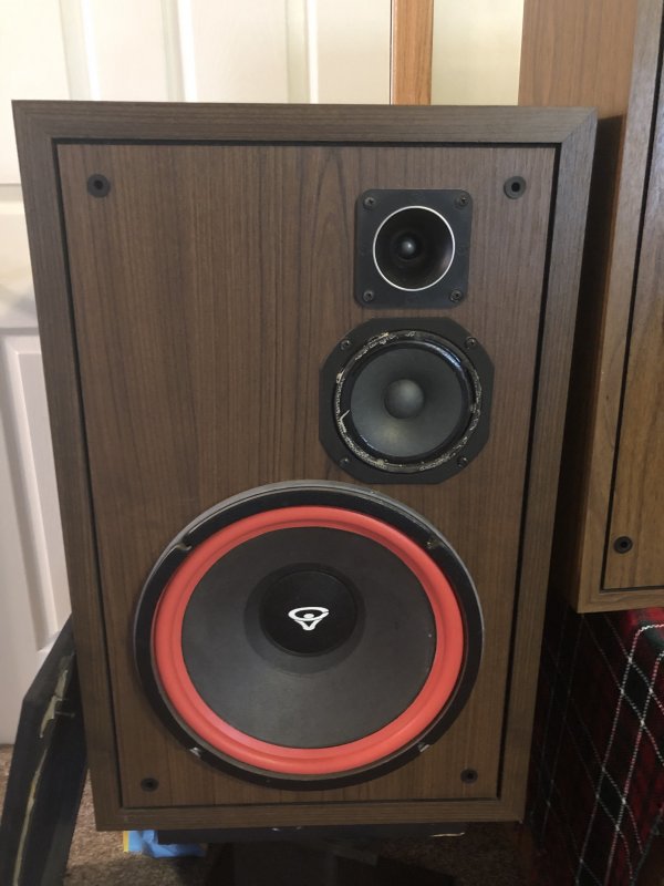Cerwin Vega D-6E
