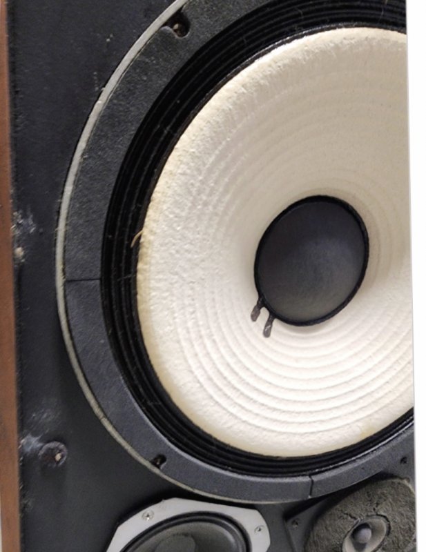 Closeup 2nd speaker