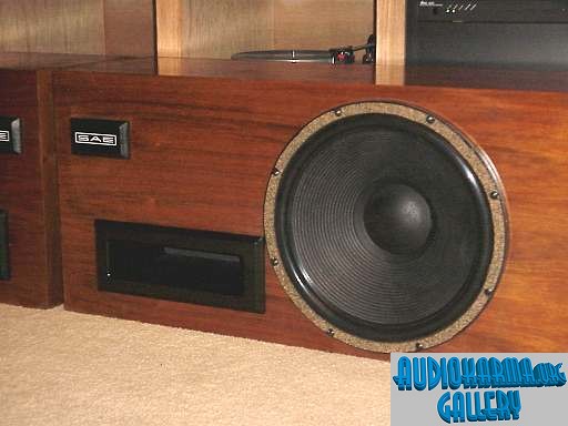 Custom 18" Subwoofer