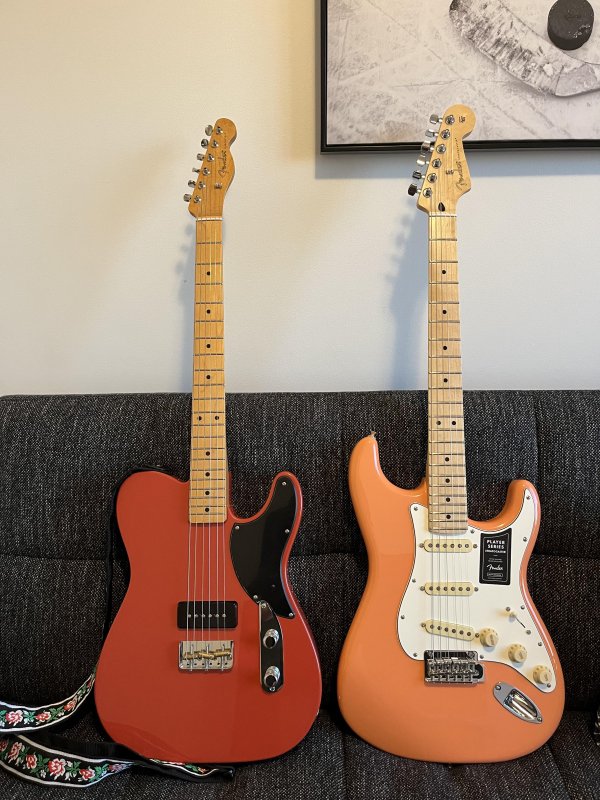 Dakota Red and Pacific Peach.jpg