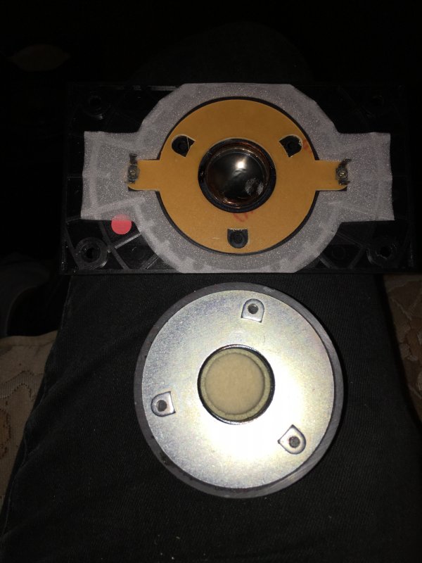 diaphragm