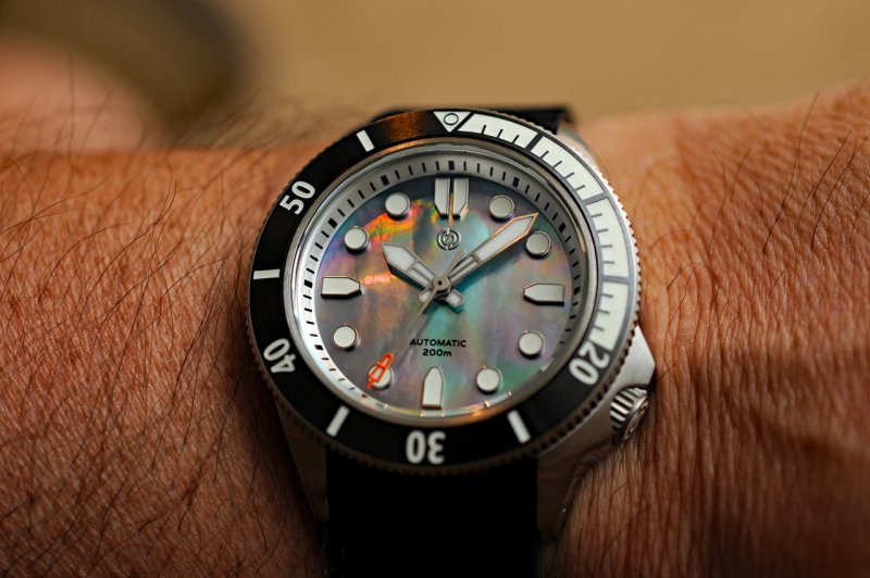 DSC_8192a1.jpg