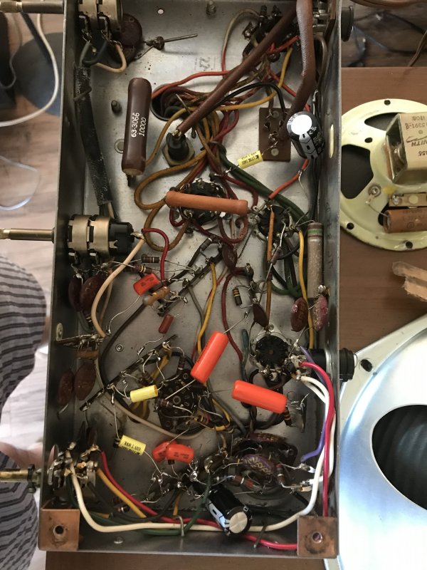 Entire zenith amp