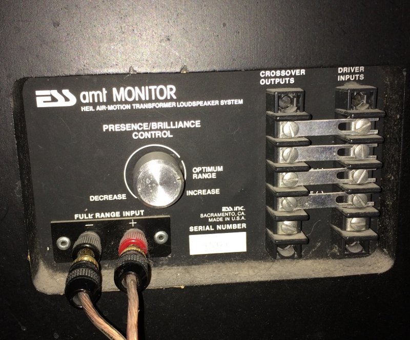 ESS AMT Monitor Input