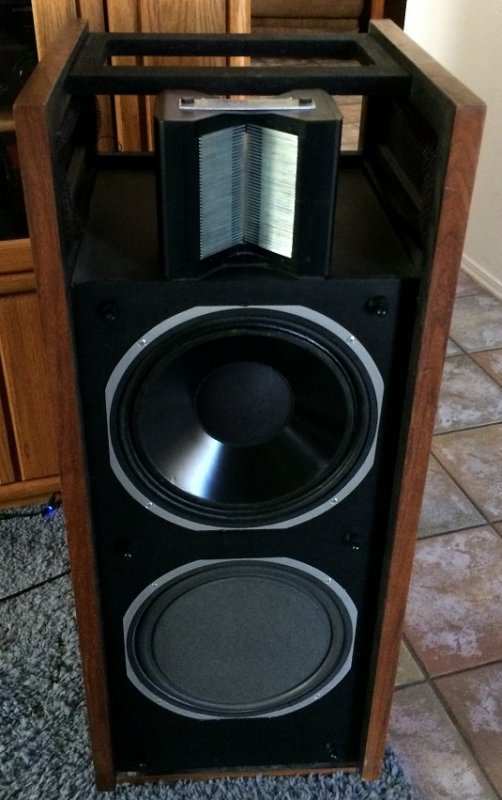 ESS AMT Monitor