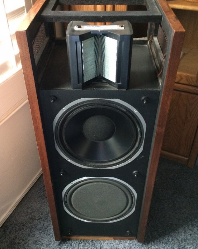 ESS AMT Monitor