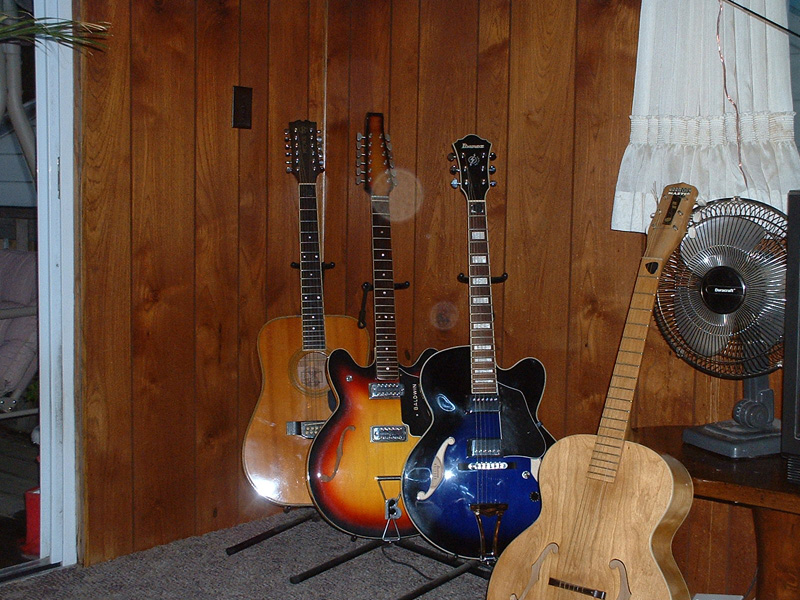 fiddles_003