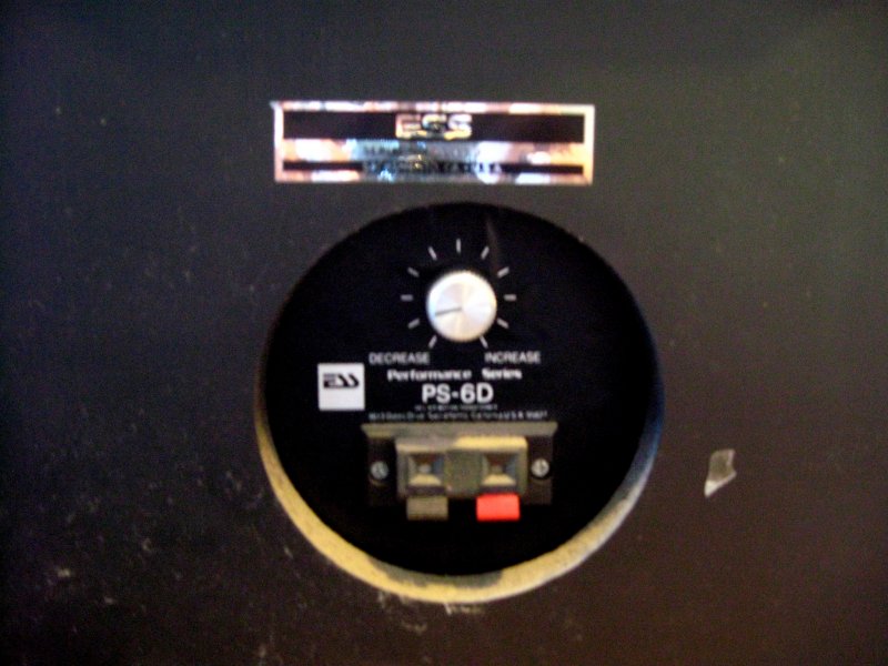 IMG_1861ess ps6d controls