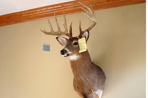 IMG_2117a1_zpsacdbd3be