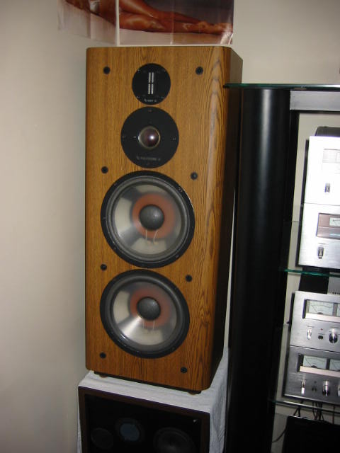 Infinity RS-6000