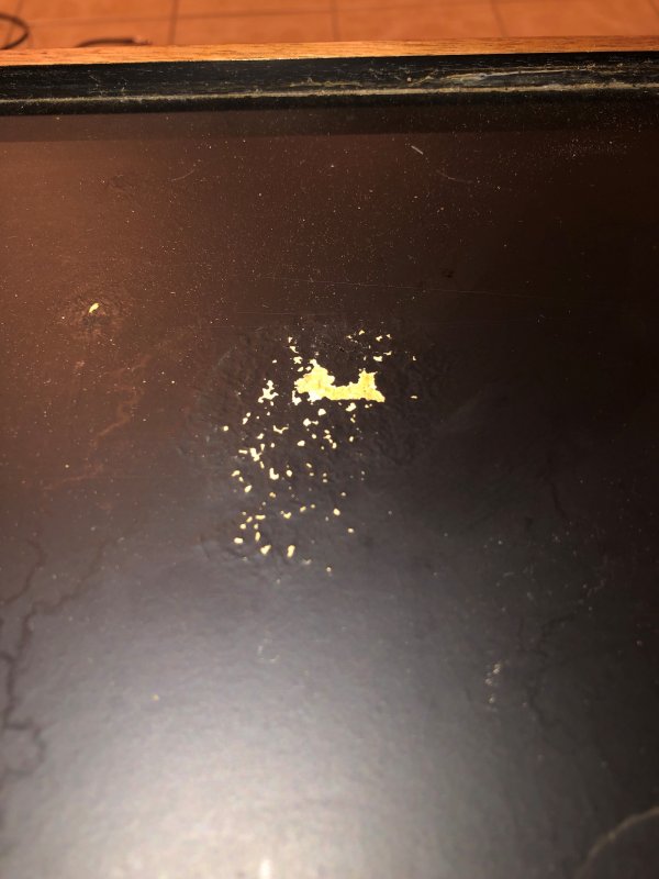 L65 WATER DAMAGE (2)